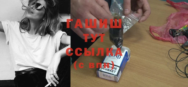 стаф Арсеньев
