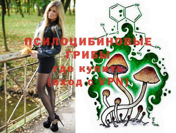 стаф Арсеньев