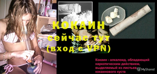 стаф Арсеньев