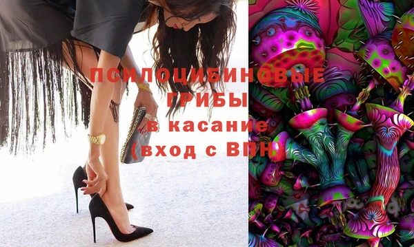 стаф Арсеньев