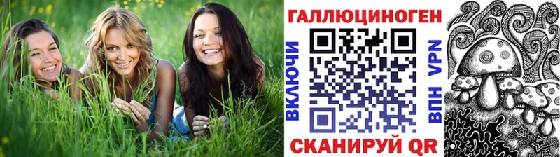 где найти   блэк спрут зеркало  Псилоцибиновые грибы Psilocybine cubensis  Лагань 